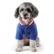 Quần Áo Cho Thú Cưng – Xu Hướng Thời Trang Mới Cho Chó Mèo Yêu